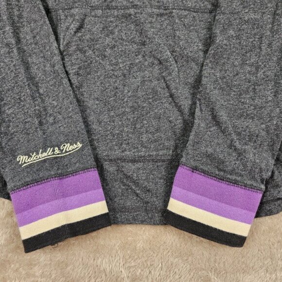 Youth Toronto Raptors Heathered Charcoal Hardwood Classic Raglan Pullover Hoodie - Picture 8 of 10